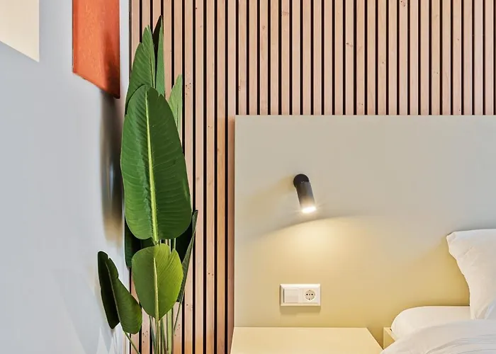 Comfort & Style In Vibrant Coliving *