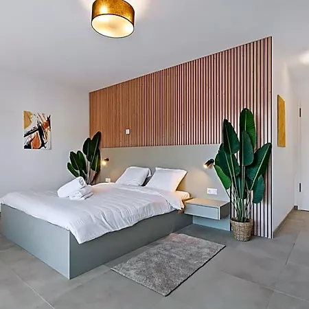 Comfort & Style In Vibrant Coliving Luxembourg